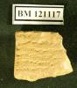 BM 121117 obv. (British Museum)