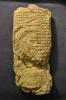 YBC 4625 obv. (Yale Babylonian Collection)