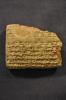 YBC 4588 rev. (Yale Babylonian Collection)